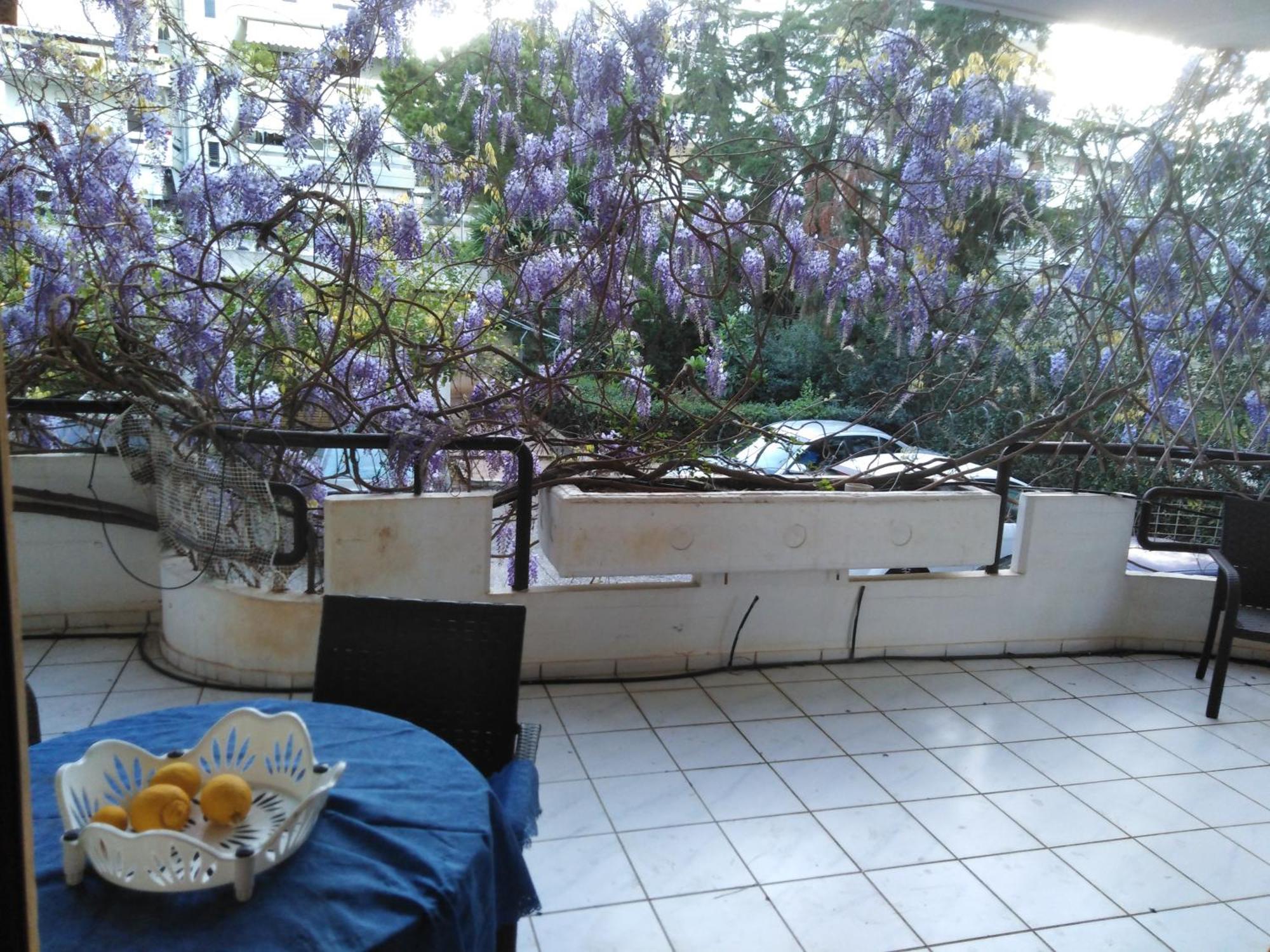 Filyra Homestay Atene Camera foto