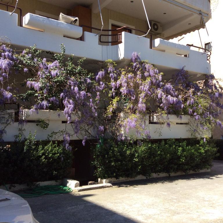 Filyra Homestay Atene Esterno foto